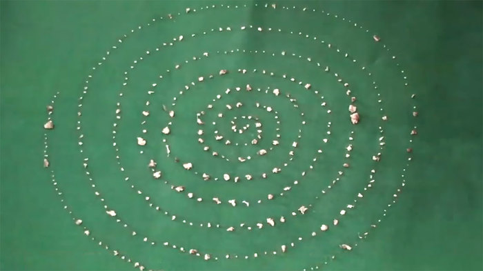 ���������� � ��������: ����������� ������� � 7-������� �������� 526 ������ �����