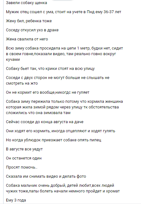 History is not for a nice Saturday night. - My, Dog, Help, Saint Petersburg, Kirovsky District, No rating, Cruelty, Video, Longpost, In contact with, Mat, Helping animals