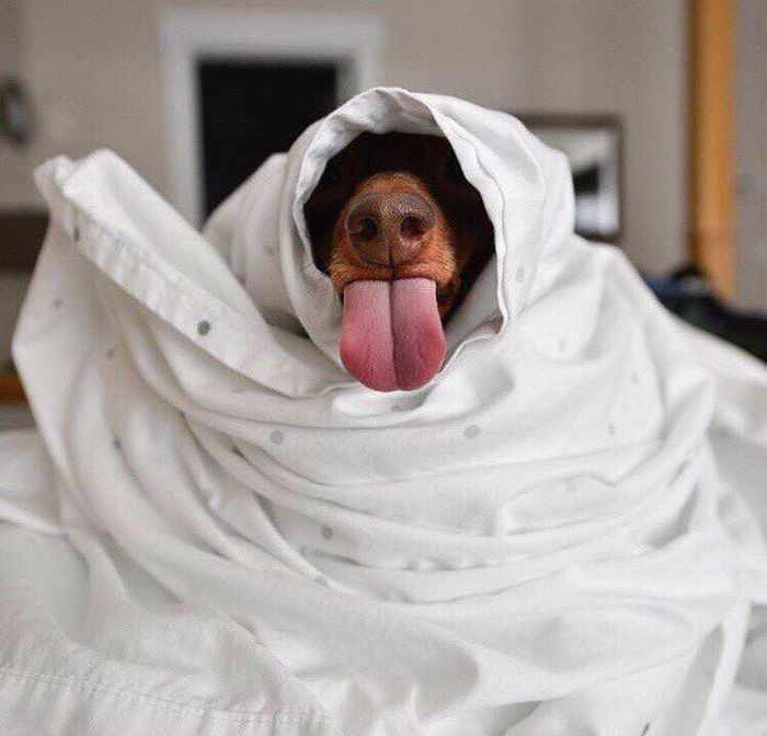 ��� ����, ���������!