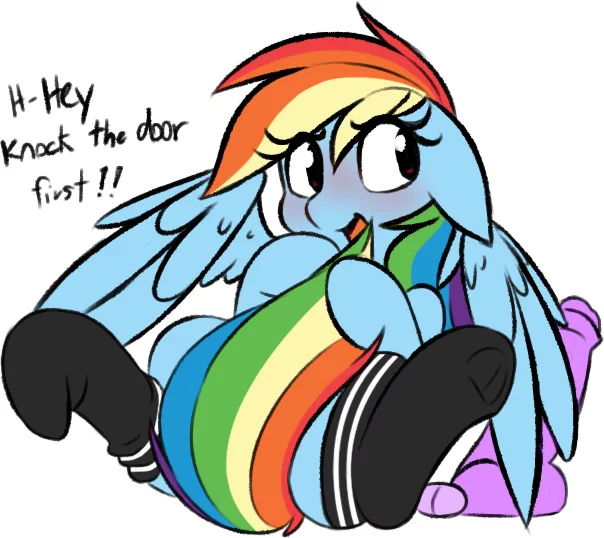 Hey, knock on the door first! - My little pony, MLP Edge, Rainbow dash, MLP Socks