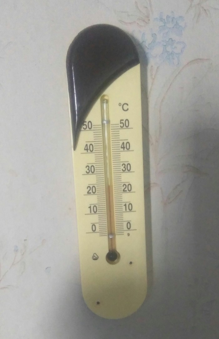 When your thermometer has plans for the whole world - My, Thermometer, Adolf Gitler, World domination