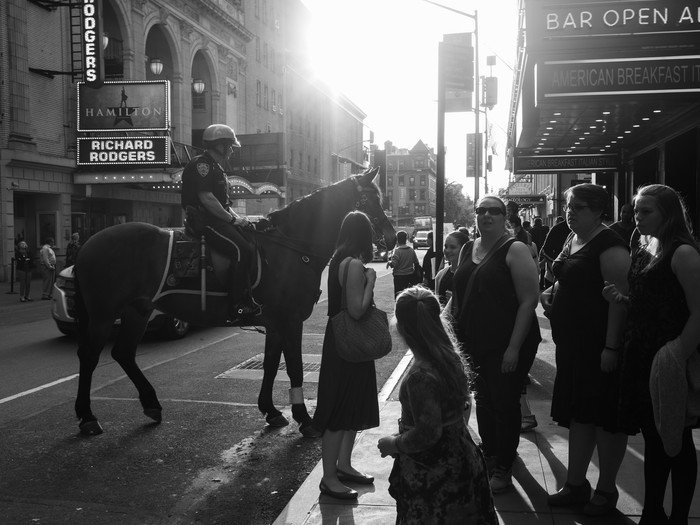 Mounted policeman, New York - My, , The photo, Longpost, Street photography
