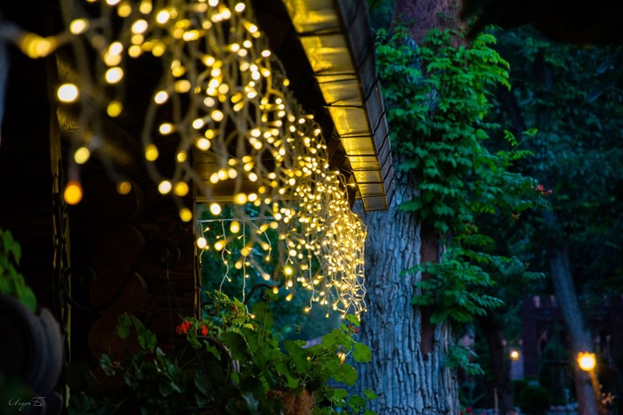 Lights... - My, Loga Park, The photo, Evening, Nikon