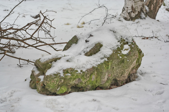 The snow made the rock look like a dragon's head - My, The Dragon, Endless story, Falkor, Pareidolia