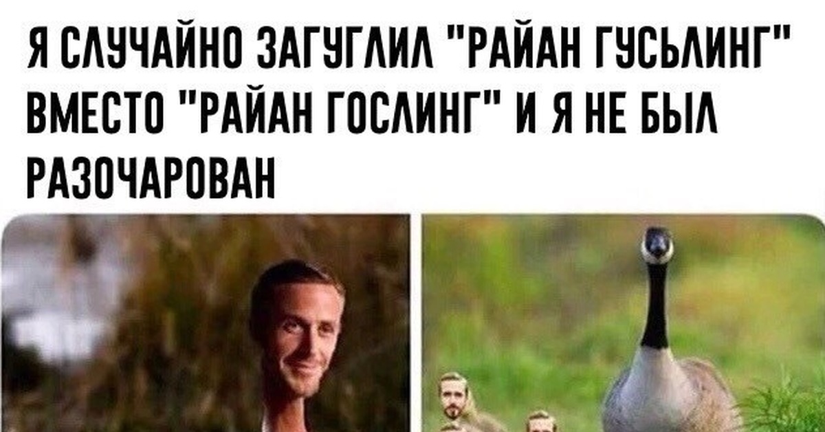 Фразы Из Драйва