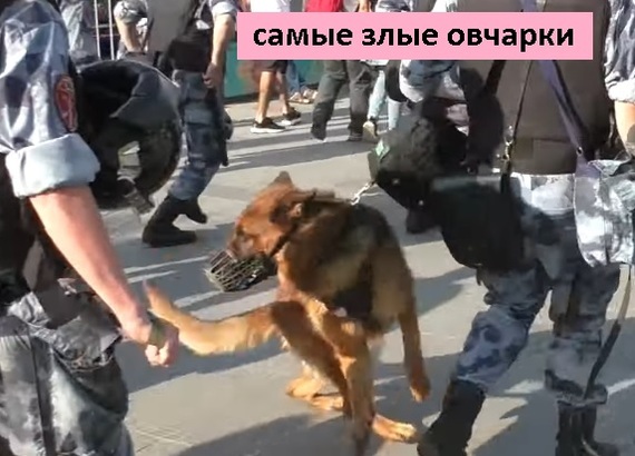 Against the sycophants of Navalny at the rally will be put up: - My, Alexey Navalny, Rally, Opposition, Protest, Riot police, August, Longpost, Politics