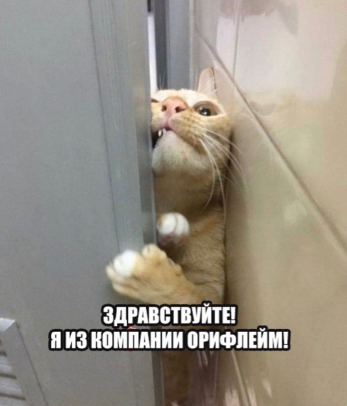 JNS-  , Telegram, , , , , 