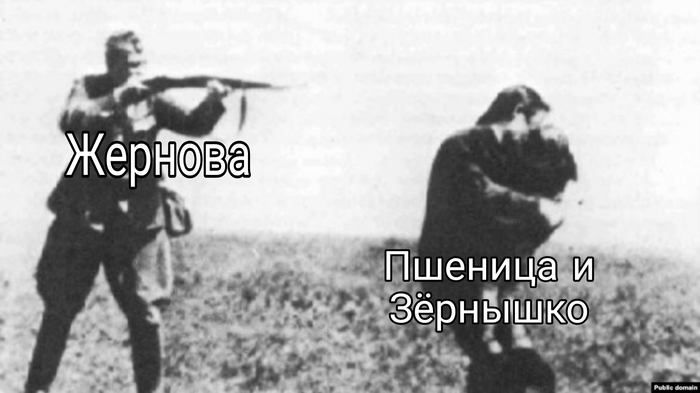 крабовые палочки что мем. Смотреть фото крабовые палочки что мем. Смотреть картинку крабовые палочки что мем. Картинка про крабовые палочки что мем. Фото крабовые палочки что мем
