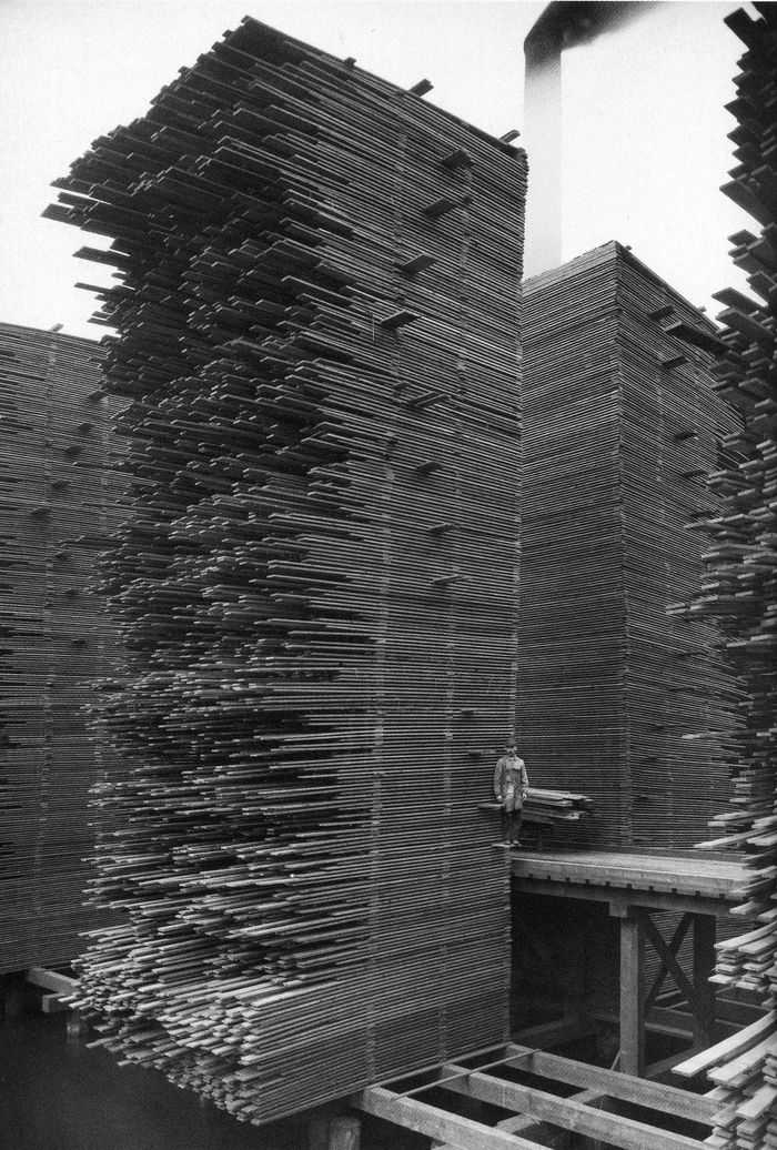 Cedar sawmill in California, 1919 - Retro, Sawmill, USA, The photo, Black and white photo