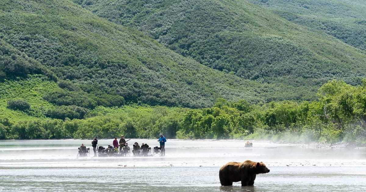 Где живет камчатский медведь. Медвежье озеро Петропавловск-Камчатский. Медвежье озеро Камчатка. Кроноцкий заповедник бурый медведь. Курильское озеро Камчатка.