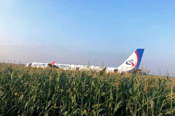 Ural Airlines landed in a field. - civil Aviation, Emergency landing, Ural Airlines, Longpost