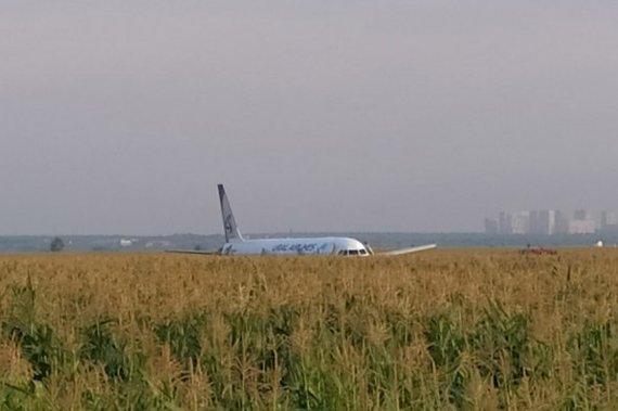 Уральские авиалинии сели в поле. - Гражданская авиация, Аварийная посадка, Уральские авиалинии, Длиннопост