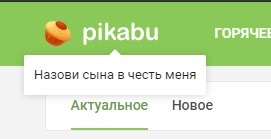 Pikabu, are you kidding me? - Name for the child, Peekaboo