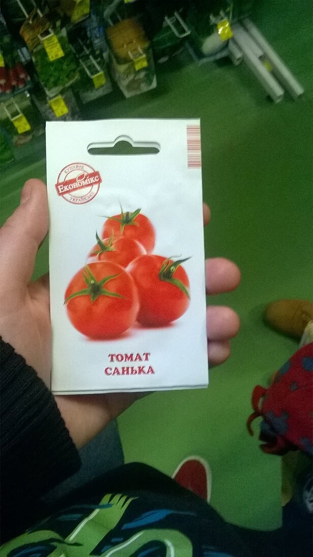 Sanya, are you okay? - Tomatoes, Sanya, My, Seeds