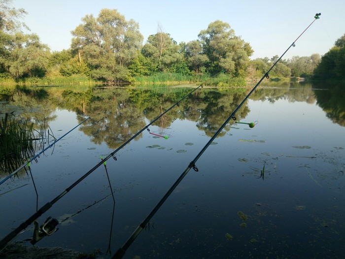 Took my soul away - My, Fishing, Relaxation, Longpost