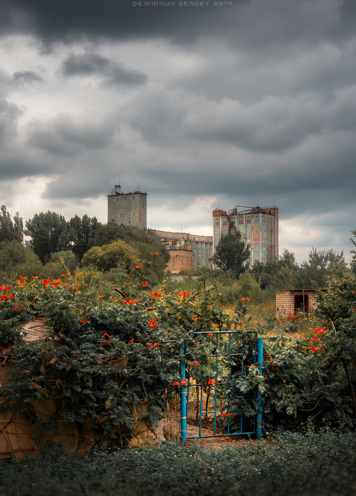 Мукомольный комбинат. Кривой Рог. Украина