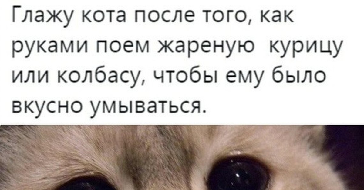 Год после кота. Кот после того как покушал. Я после того как поем. Мем глажу кота достаточно. Наркоман гладит котика.