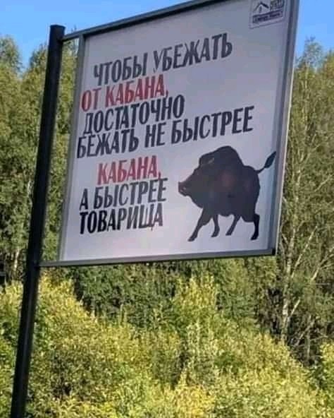 Открытие охоты на гуся