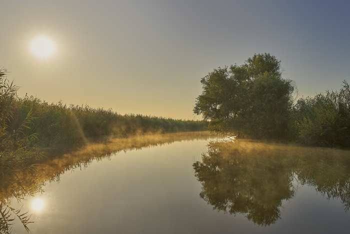 Foggy morning on the Volga - My, Volga, Morning, dawn, Fog, River, Summer, The photo, Longpost, Volga river