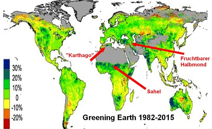 Don't worry about the damn Siberian forest and cutting it down - Ecology, Forest, Siberia, Felling, Climate, Russia, China, The science, Longpost