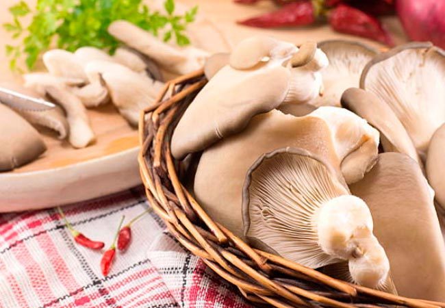 Mushrooms that are eaten raw. - Mushrooms, Nutrition, Longpost