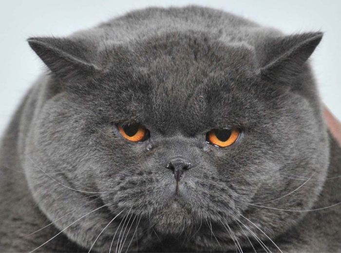 ��� �� � ���� ����� ���, � � ����� � �� ������� ��...