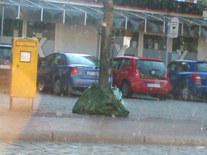 Protecting trees from the summer heat in Germany - Tree, Longpost, Heat, Protection, Germany