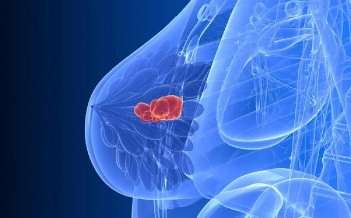 7 ��������� ����