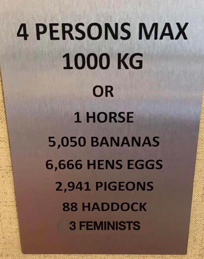 Well, isn't it lovely? - Lifting capacity, Elevator, Feminism, Comparison, Weight