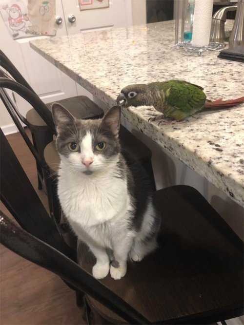 Кажется кто-то получит люлей