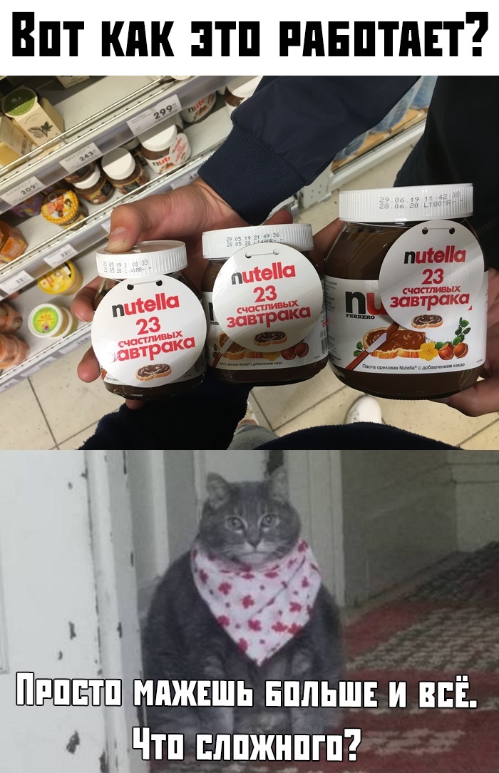 The cat does not advise bad - Picture with text, cat, Nutella