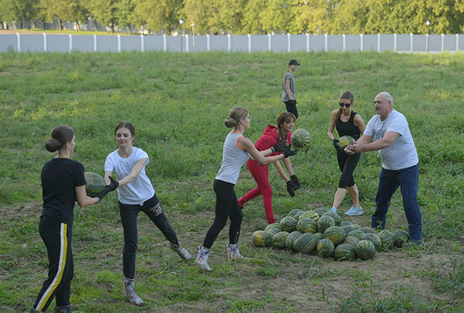 After a business meeting, Lukashenka went to pick watermelons. - Republic of Belarus, Alexander Lukashenko, , Bt, Window dressing, Video, Longpost