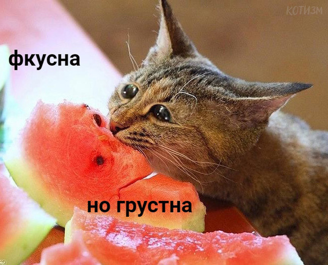 ����������� �����������