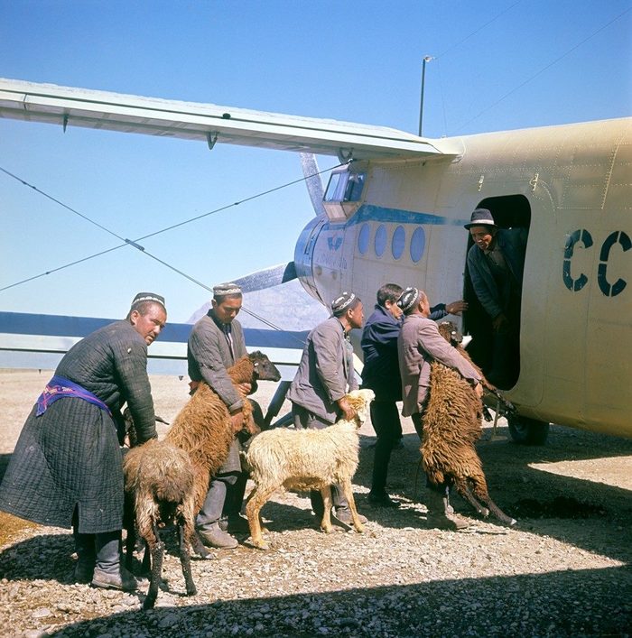 Mimino aka. Uzbekfilm. (Source: E. Vilchinsky / RIA Novosti. 1967.) - An-2, Rams, Uzbekistan