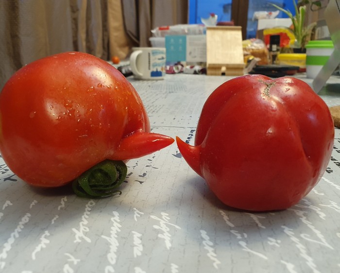 Мистер и миссис помидор