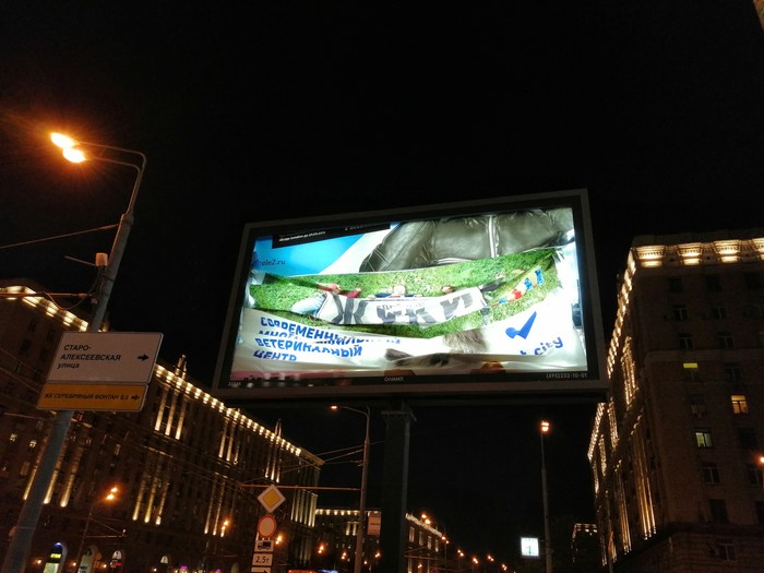 Shield, you're drunk, go home - My, Billboard, Advertising, Russia, Go home