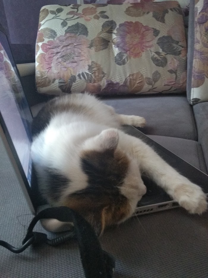 ��, ��� � ����������...