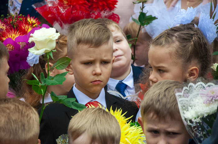 Во многой мудрости много печали; и кто умножает познания, умножает скорбь. Первоклашки. - Моё, 1 сентября, Грусть, Безнадежность, Школа, Длиннопост