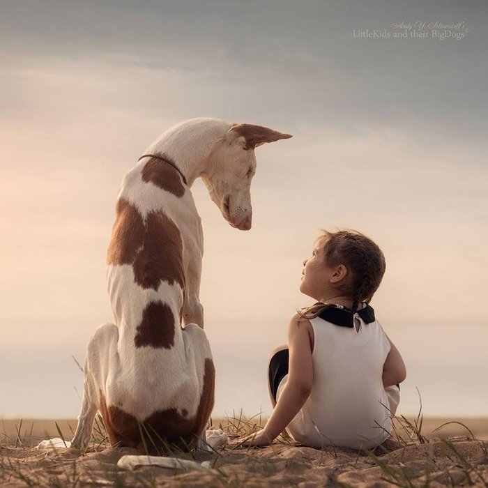 Little Varya and her incredible puppy Weiss - Children, Dog, Ibizian greyhound, Podenko Ibitsenko, A selection, Longpost