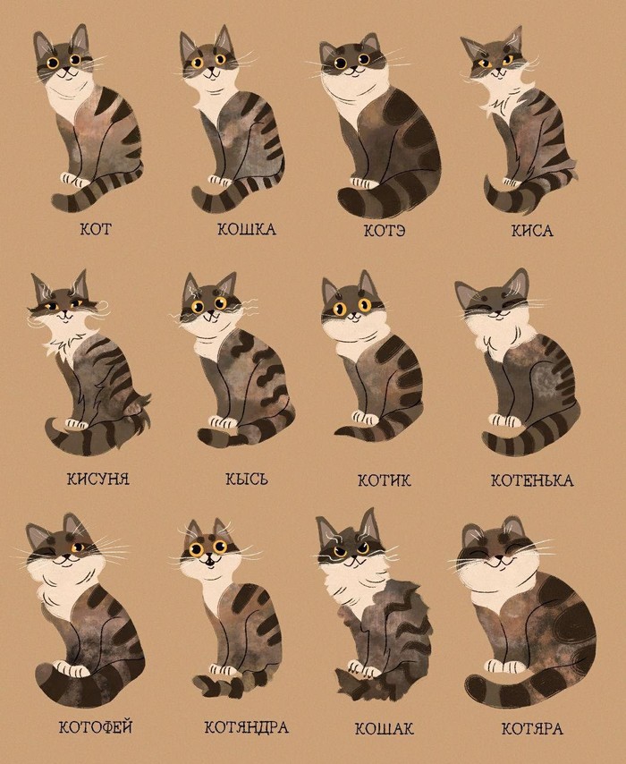 Memo - MDK, cat, Classification, Types, View