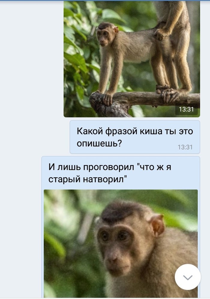 По материалам фотоконкурса