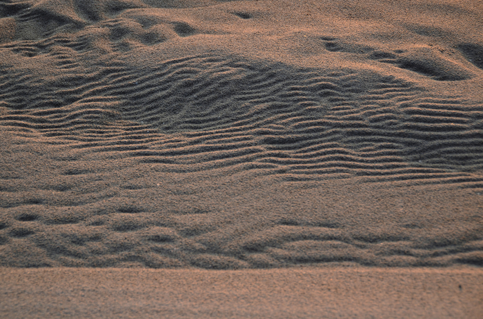 Skin of the earth - My, Shore, River, Sand, The photo, Vychegda