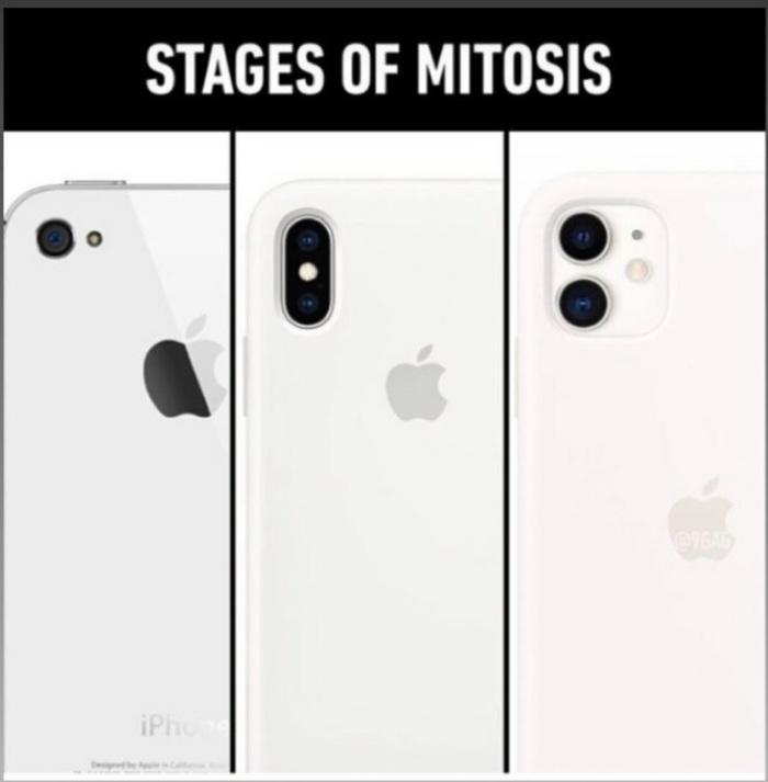 Митоз Митоз, Биология, iPhone, iPhone 11