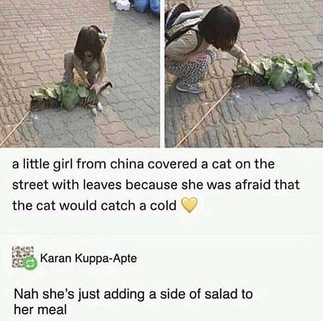 A little girl from China covered a cat in the street with leaves because she was afraid that the cat might catch a cold - Reddit, cat, Food, Asians, Chinese, Girl