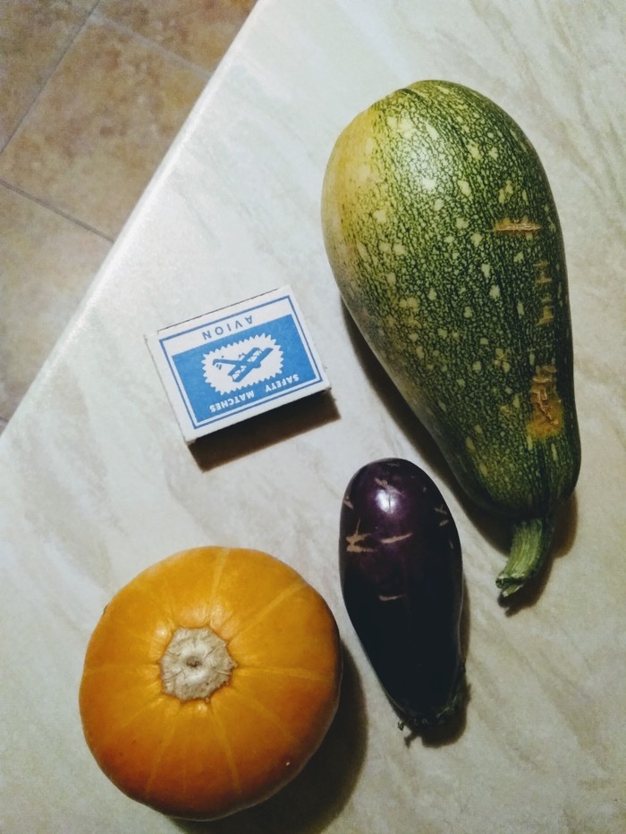 Harvest. - Harvest, Pumpkin, Eggplant, Zucchini