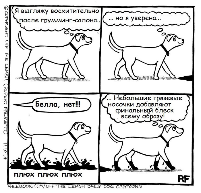 Dogs have their own characteristics - Humor, Dog