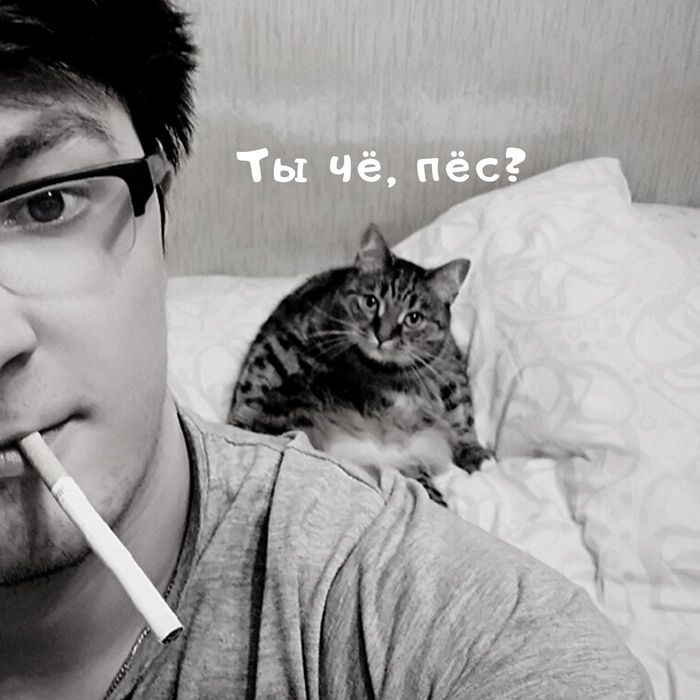 Photo - My, cat, The photo