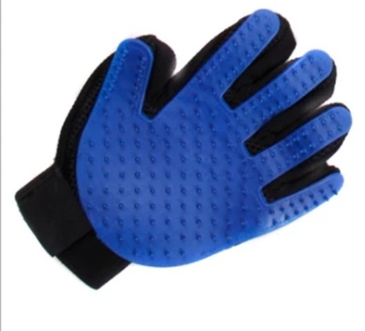 Glove for cat - Reviews on Aliexpress, cat, Gloves, Humor, Longpost