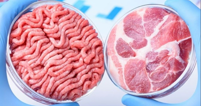 И люди сыты и овцы целы Мясо, Синтез, Наука, Длиннопост И люди сыты и овцы целы Мясо, Синтез, Наука, Длиннопост