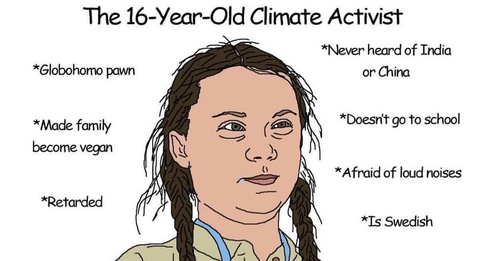 PIT - Greta Thunberg - Politics, Summit, UN, Video, GIF, Mat, Longpost, Greta Thunberg, Olga Misik